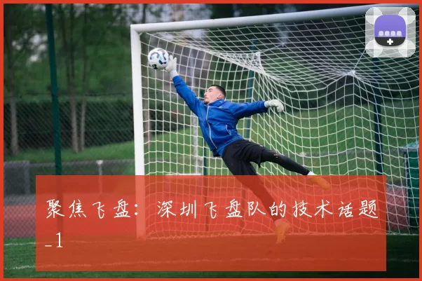 聚焦飞盘：深圳飞盘队的技术话题_1