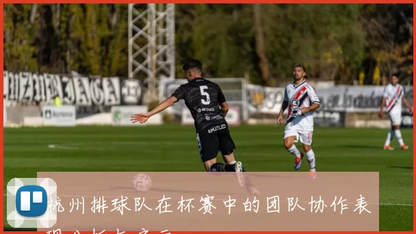 杭州排球队在杯赛中的团队协作表现分析与启示