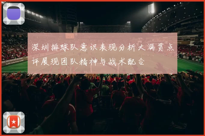 深圳排球队意识表现分析大满贯点评展现团队精神与战术配合