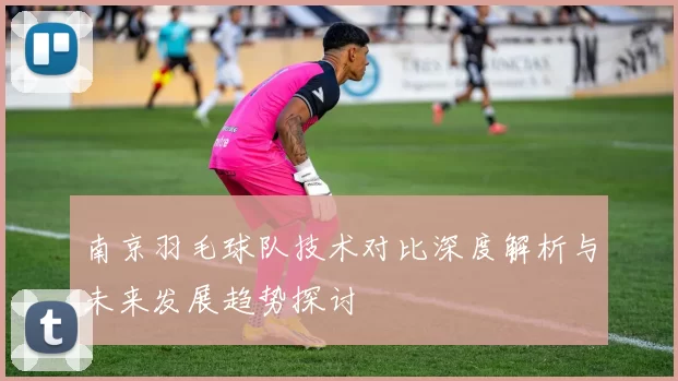 南京羽毛球队技术对比深度解析与未来发展趋势探讨